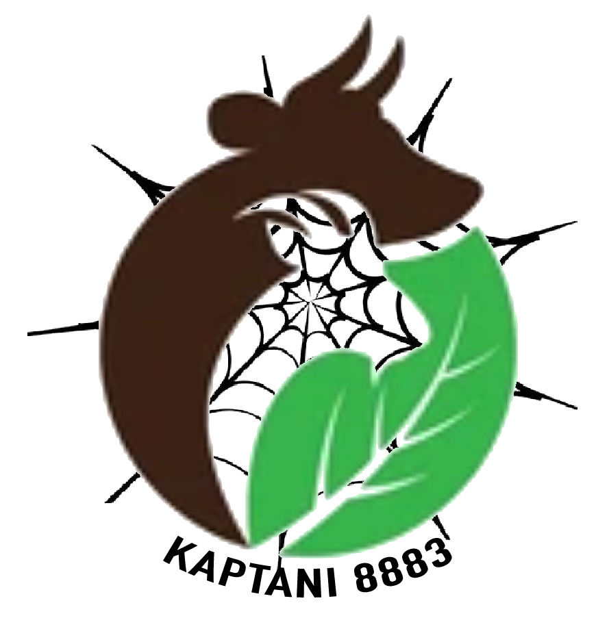 KAPTANI